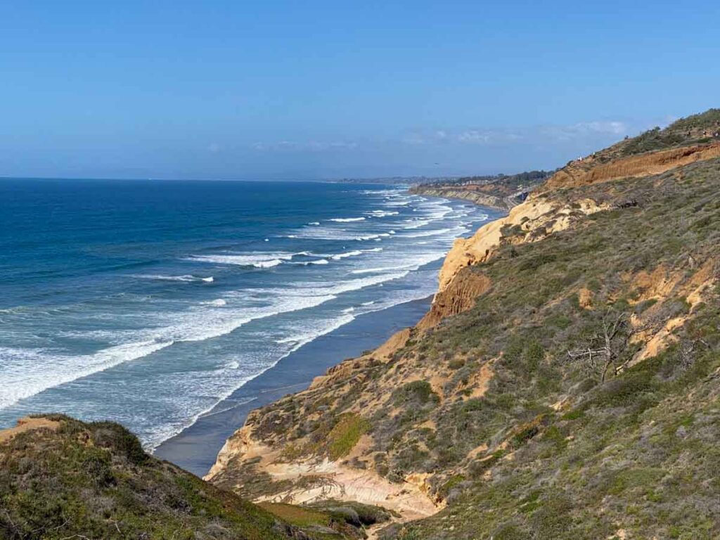 Torrey Pines state park San Diego, with ocean view.
