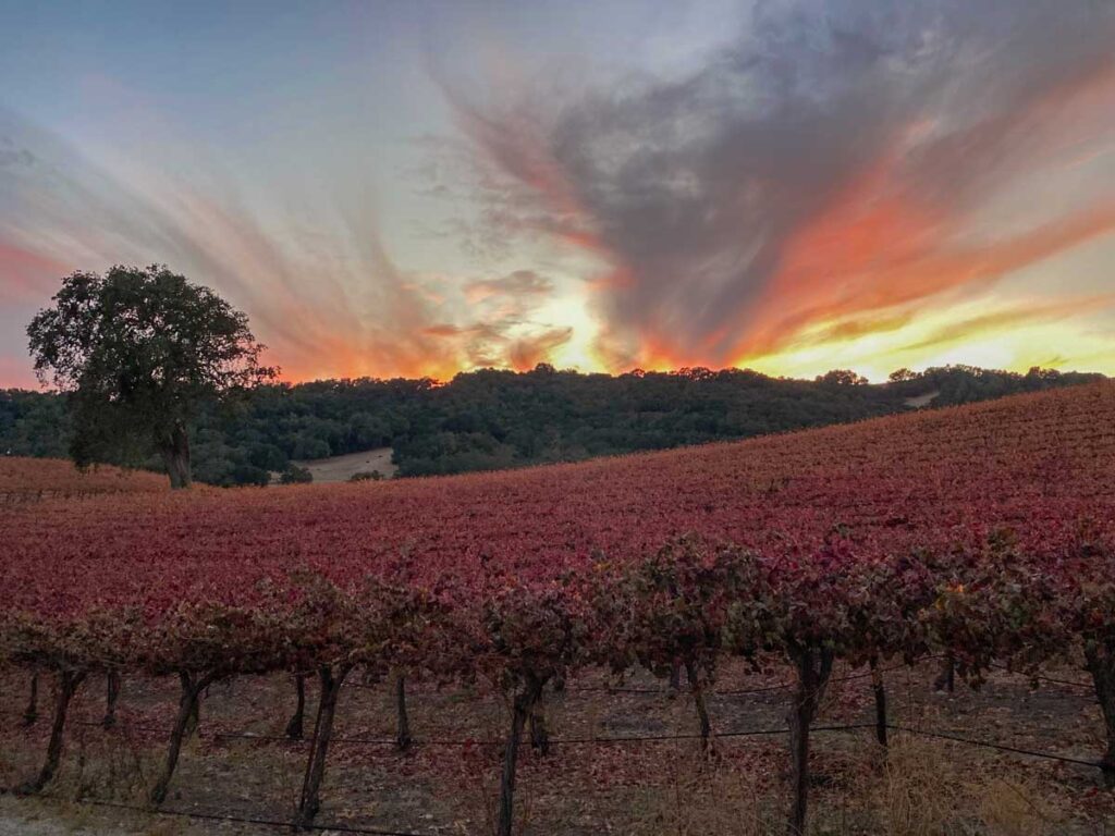 Paso Robles sunset Adelaida road.