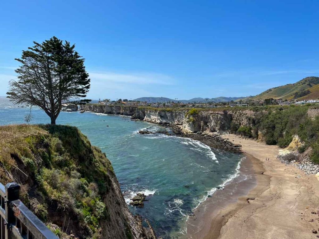 Dinosaur Cove Cove Shell Beach Pismo, with beach and tree.