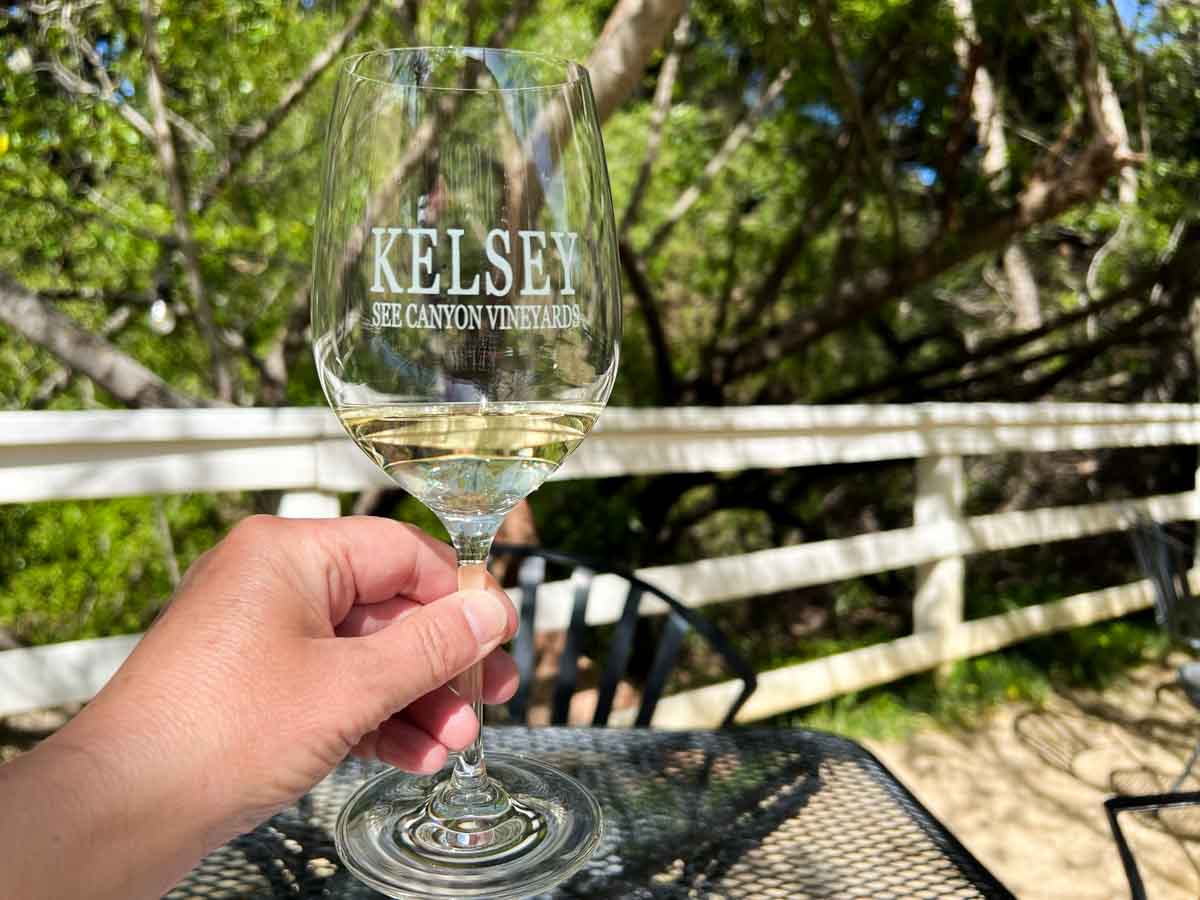 Where to Go Wine Tasting in Pismo Beach Complete Winery Guide