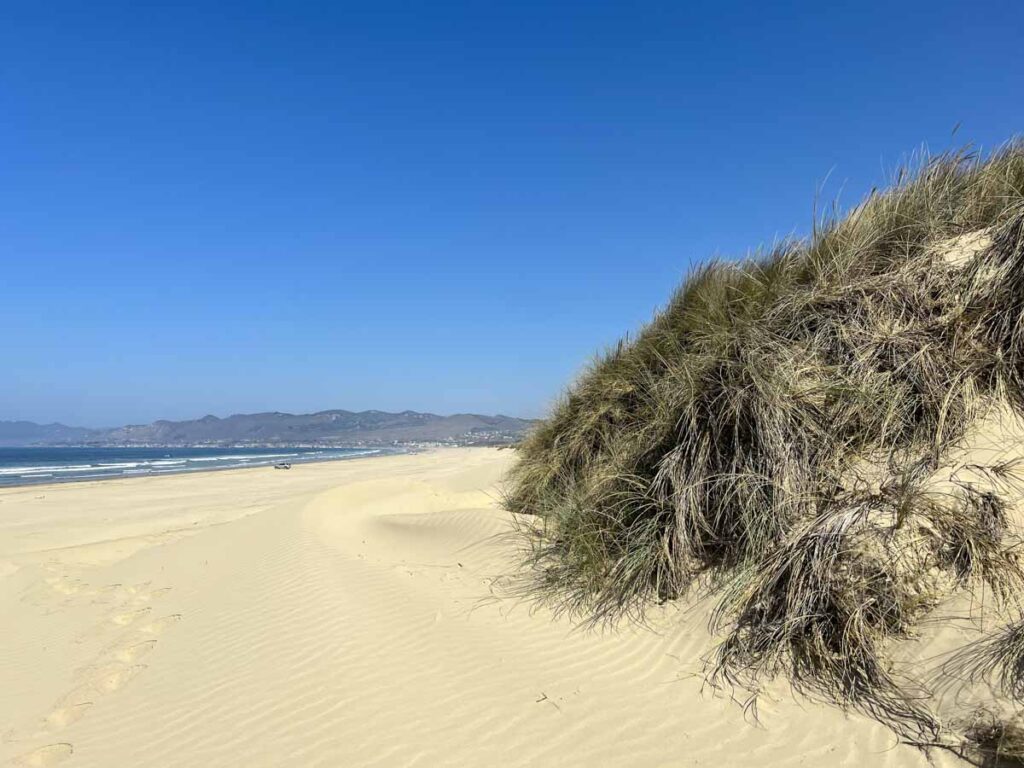 Oceano Dunes Pismo Beach, sand dune, grasses, ocean.