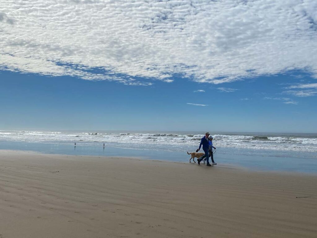 Grover Beach Oceano Dunes dog walker, sand and ocean.