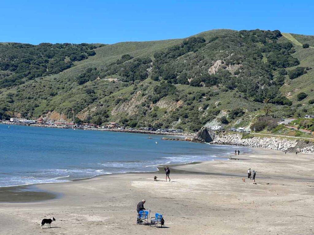 Olde Port Beach Avila Beach, dogs and walkers.