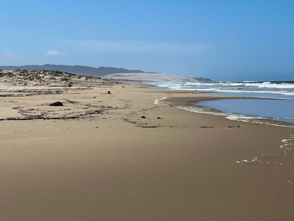 Oso Flaco Beach near Pismo Beach, with sand dunes.