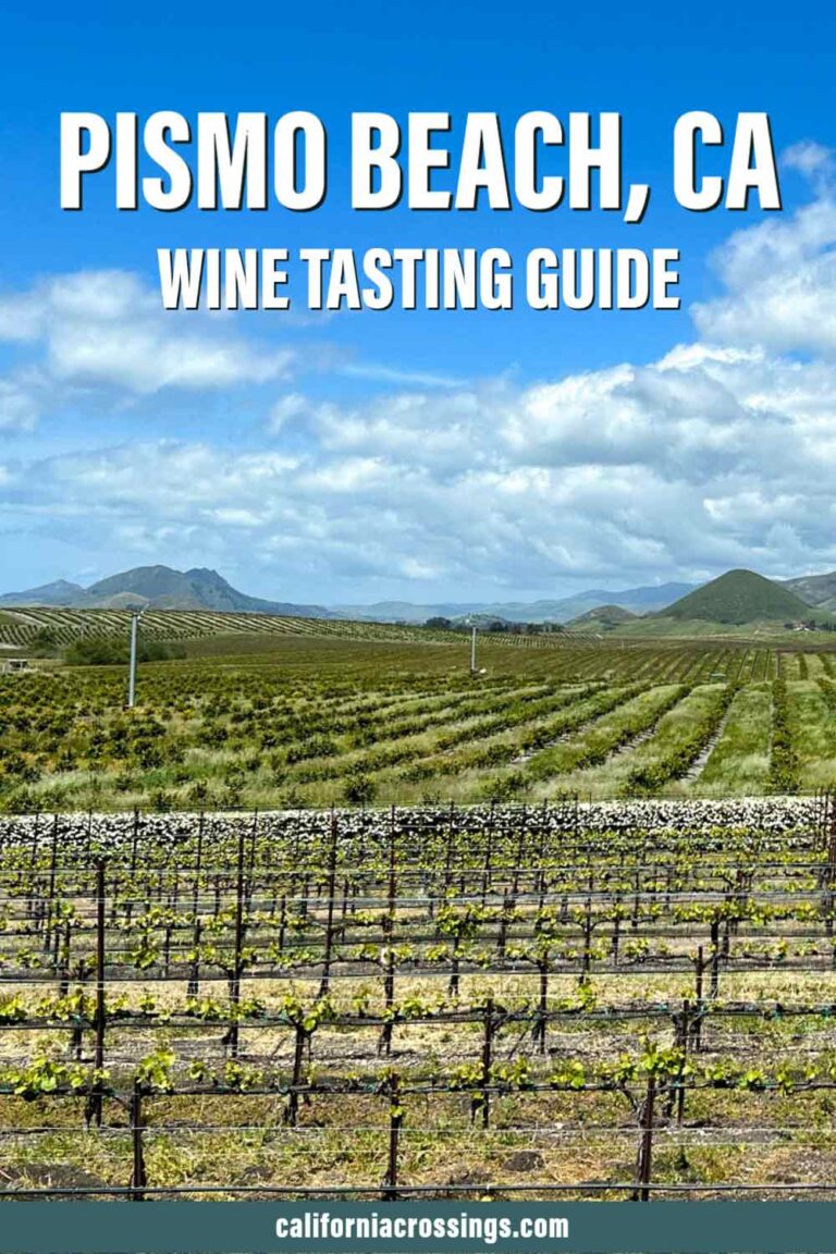 Where to Go Wine Tasting in Pismo Beach Complete Winery Guide