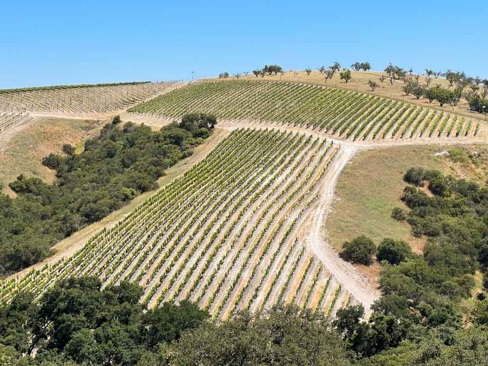 Kiler Ridge fields in Paso Robles.