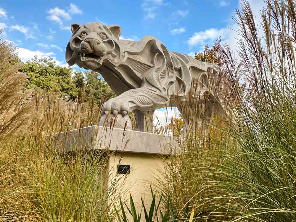 Cat sculpture at Sculpterra in Paso Robles.