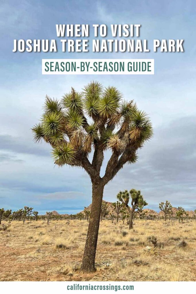 When to Visit Joshua Tree National Park, season guide.